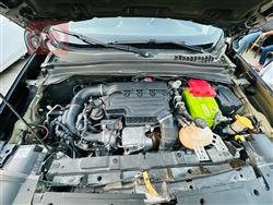 جيب رينيجيد